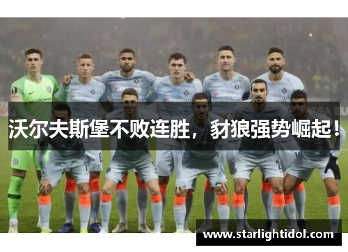沃尔夫斯堡不败连胜，豺狼强势崛起！